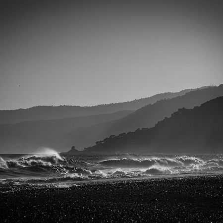 Le Torri Riviera Holiday Albenga Dış mekan fotoğraf